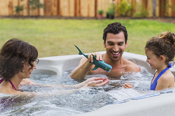LS100DX Hot Tub 4-Person, 20-Jet