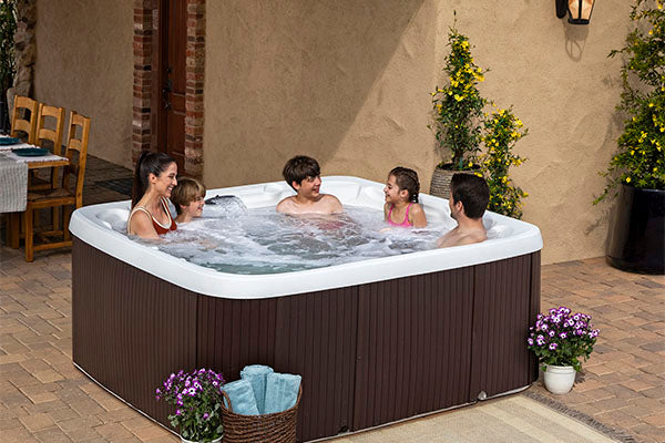 LS600DX Hot Tub 7-Person, 65-Jet
