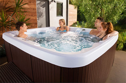 LS450DX Hot Tub 7-Person, 22-Jet